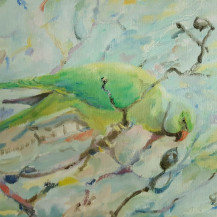 Parakeet Mate in Tree