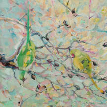 Parakeets in an Almond Tree