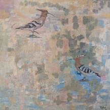 Hoopoes in Town
